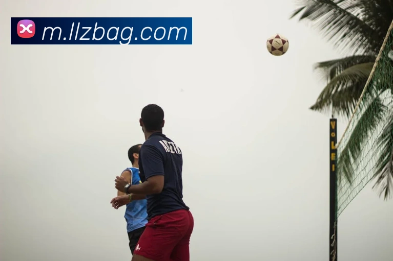 ag官网服务体系